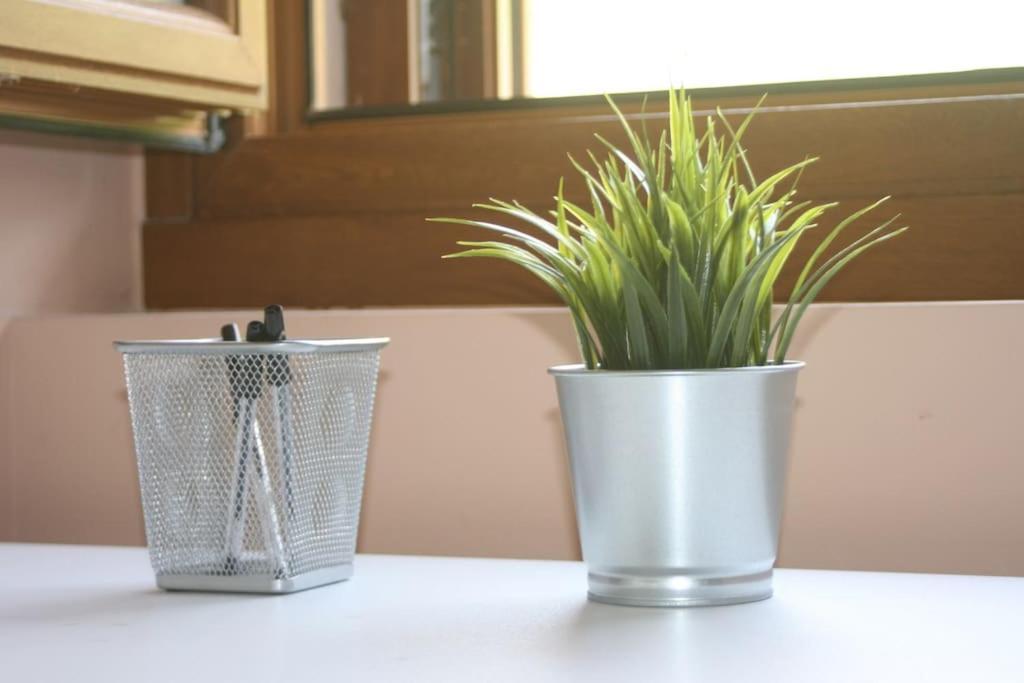Gartzinea, Amplia Y Preciosa Vivienda Rural Apartment Ezkurra ภายนอก รูปภาพ